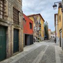 비눔(Vinum) 이미지