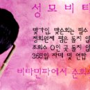 └─＋조성모 공식 비타민파 순회♥＋─┘ 이미지