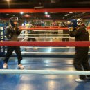 다윗복싱클럽 이미지