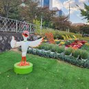 지안마디내과의원 이미지