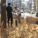 소나무세탁소 이미지