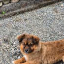 팔경가든 이미지