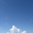 성혼결혼정보 | #3 결혼정보회사 성혼 후기 / 결정사 후기 / 결정사 성공