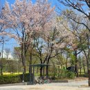 청운체육공원 이미지