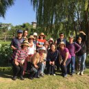 수원-0556 이미지