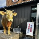 먹보식당 | 논산 소고기 한우가 이렇게 저렴해도 괜찮아? 도축식당이야 [먹보쌈밥 고깃간] (내돈내산, 솔직후기)