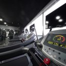 바디메이커 비스트짐 이미지