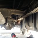 나비카센타 이미지