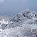 2/7(일요)한국의 100대명산 눈꽃이 아름다운 천마산으로!.. 이미지