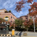 태경사전업 | 동남보건대부설유치원을 1년 다녀본 후기 - 처음학교로 성공 기원합니다.