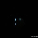 24시 온누리동물메디컬센터 이미지