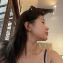 발리스파테라스5 이미지