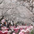 진해구 ⓒ-27 이미지