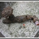 목포홍일고등학교 이미지