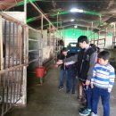 성환삼육영어지역아동센터 이미지