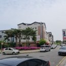 호매실벚꽃음식문화거리 이미지