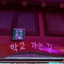 31140-14-48-3 | 제주도 투어패스 타임제로 48시간권 내돈내산 솔직후기-3일차(동부)🍊🏝️