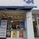 영커피제주
