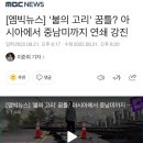 [엠빅뉴스] '불의 고리' 꿈틀? 아시아에서 중남미까지 연쇄 강진 이미지