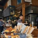 아오이서울
