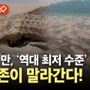 [에디터픽] 123년 만, 사상 최저 수준…아마존 심각한 가뭄에 '몸살' / YTN 이미지