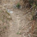 장군산길 이미지