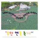 백련농장 | 주말 전남 아이랑 갈만한곳 찾는다면 2026 무안연꽃축제 6월 26일~28일 총정리