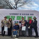 서울시립뇌성마비복지관 이미지