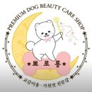 뾰로롱 | 인천 구월동 애견 미용 잘하는 곳 - 뾰로롱 🐶✂️