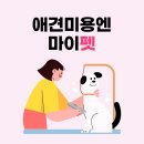 마이펫 애견 미용 이미지