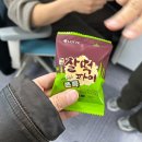 번개세탁소 | 🌸 3-4. 3월의 끝을 잡고