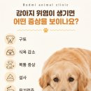 석적동물병원 네이버블로그