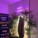 더블클릭 | 산본) 산본역 술집 - 테라스있는 룸술집 더블클릭 솔직후기