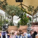 돌담펫호텔 이미지