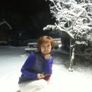 청하가든 이미지