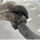 테크마스터 이미지