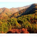 일월산장 이미지