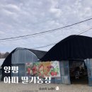 농장사람들암사점 | 남양주딸기농장 - 아이랑 함께 체험해요(아띠딸기농장)