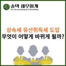 솔택세무회계 이미지