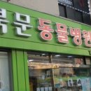 북문다솜동물병원