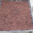 새마을의료기 이미지