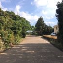 성산읍사무소 이미지