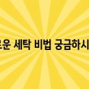 햇볕 세탁 이미지