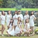 네이처컬렉션 이미지