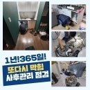 부산한약품 네이버블로그