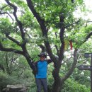 당정골계곡 이미지