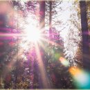 시골쉼터 이미지