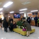 영월시네마