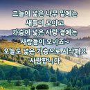 마음이 머무는 곳에 이미지