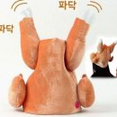 모자치킨